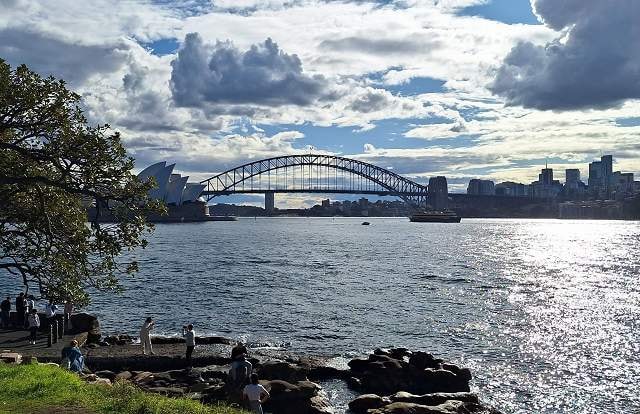 2025/07/04 熊好玩慢遊東澳~黃金雪墨小企鵝可愛無尾熊11天